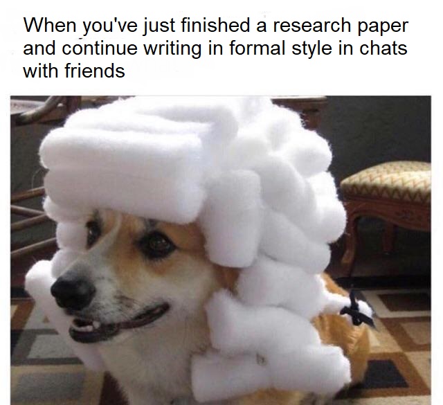 College research paper example mem
