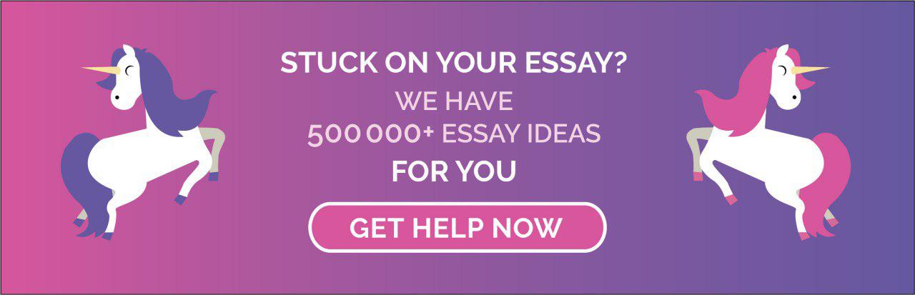 Essay Help Now